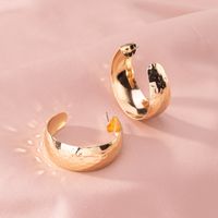 Nouveau Cercle Design Original Boucles D'oreilles Exagérées En Gros Nihaojewelry sku image 6