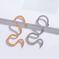New Long Metal Exaggerated Dragon-shaped  Animal Zodiac Dragon Earrings Wholesale Nihaojewelry sku image 11