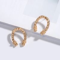 Nouveau Long Métal Exagéré En Forme De Dragon Animal Zodiaque Dragon Boucles D&#39;oreilles En Gros Nihaojewelry sku image 13