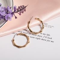 Korean New Retro C-shaped Earrings Fashion Trend Style Alloy Creative Semicircular Earrings Wholesale Nihaojewelry sku image 2