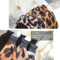 Retro Leopardenmuster Wildleder Stoff Breitseitig Geknotetes Stirnband Großhandel Nihaojewelry main image 5
