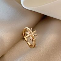 Zircon Elegant Niche Light Luxury Design Index Finger Ring Copper Ring main image 1