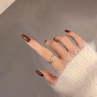 Zircon Elegant Niche Light Luxury Design Index Finger Ring Copper Ring main image 5