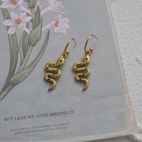 Boucles D&#39;oreilles Serpent Rétro À La Mode Boucles D&#39;oreilles En Acier Titane Simple Étoile Pour Femmes main image 5
