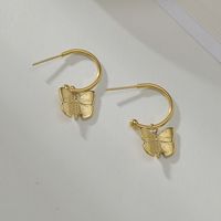 Niche Design 14k Gold Butterfly Earrings Titanium Steel Jewelry Wholesale main image 5