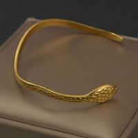 Bracelet Serpent Rétro À La Mode Pour Dames, Bijoux Européens Et Américains En Acier Au Titane main image 5