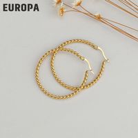 European And American Fashion Twisted Wire 14k Titanium Steel Earrings Wholesale sku image 5
