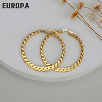 European And American Fashion Twisted Wire 14k Titanium Steel Earrings Wholesale sku image 8