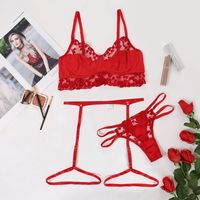 New European And American Underwear Lace Embroidery Sexy Perspective Three-piece Set sku image 4