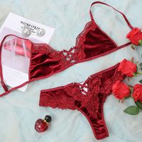 European Beauty Lace Embroidery Flower Sexy Bra Perspective Lingerie Set sku image 1