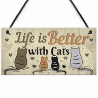 European And American Wooden Sign Cat Tag Listing Ornaments Wood Decoration main image 5