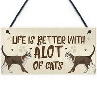 European And American Wooden Sign Cat Tag Listing Ornaments Wood Decoration main image 13
