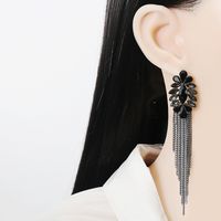 Fashion Earrings Women's Long Tassel Alloy Earrings Wholesale main image 3