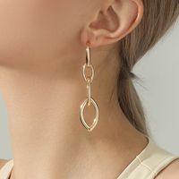European Fashion Jewelry Metal Chain Long Personality Retro Earrings sku image 1