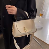 Retro Niche Bag Women's 2022 New Trendy Messenger Handbag Wholesale sku image 3