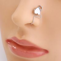 European And American Non-porous Puncture Stainless Steel Nose Ring Heart-shaped Nose Clip Nose Nail main image 3