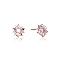 Fashion S925 Sterling Silver Inlaid Zircon Flower Earrings Wholesale main image 6