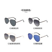 Nylon Polarized Sunglasses Men's Outdoor Fishing Pilot Toad Sunglasses main image 3