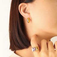 Fashion Jewelry Geometric Design Oval Titanium Steel Earrings Wholesale main image 1