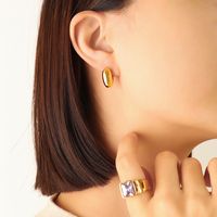 Fashion Jewelry Geometric Design Oval Titanium Steel Earrings Wholesale sku image 2