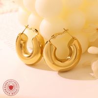 Retro Printing Plating Titanium Steel No Inlaid Earrings main image 4