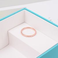 Korean Diamonds 18k Rose Gold Titanium Steel Frosted Couple Ring main image 6