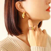 Retro Printing Plating Titanium Steel No Inlaid Earrings sku image 1