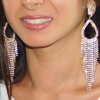 Fashion Claw Chain Series Geometric Alloy Rhinestone Long Tassel Women's Earrings main image 1