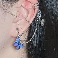 Wholesale Jewelry Vintage Style Butterfly Alloy No Inlaid Plating Earrings main image 1