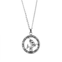 New Titanium Steel Retro 12 Constellation Necklace Clavicle Chain Wholesale sku image 5