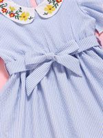 2022 New Dress Flower Embroidered Collar Striped Short-sleeved Children Dress main image 6