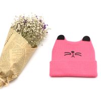 Meow Pattern Knitted Hat Korean New Baby Beanie Hat Autumn And Winter sku image 1