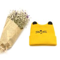 Meow Pattern Knitted Hat Korean New Baby Beanie Hat Autumn And Winter sku image 4