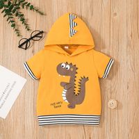 Conjunto De 2 Piezas De Pantalones Cortos De Dibujos Animados A Rayas Para Niños Con Estampado De Dinosaurio Con Capucha Para Niñas main image 5