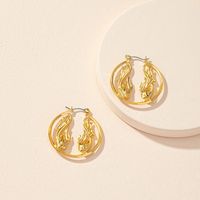 European And American Irregular Earrings Jewelry Wholesale main image 5