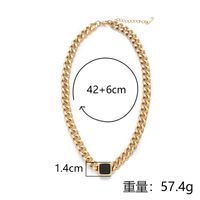 Großhandel Einfacher Stil Geometrisch Titan Stahl Einbrennlack Halskette main image 5