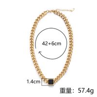 Wholesale Simple Style Geometric Titanium Steel Stoving Varnish Necklace main image 5