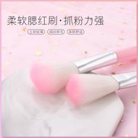 Beauty Tools,makeup Pink Portable Repair And Highlight Blush main image 1