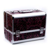 Large Size Aluminum Box Makeup Case Set Artist Special Makeup Box main image 5