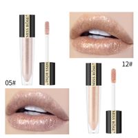 Moda Lápiz Labial Nacarado Brillo De Labios Impermeable Esmalte De Labios main image 5