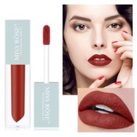 Fashion Lipstick Set Matte Velvet Lip Glaze Waterproof Lip Gloss main image 1