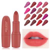 Mode Ziegelrot Kugel Lippenstift Matte Lippenstift Lippenglasur main image 2