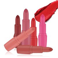 Fashion Brick Red Bullet Lipstick Matte Lipstick Lip Glaze main image 3