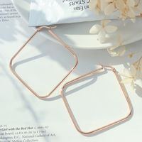 Simple Exaggerated Geometric Square Titanium Steel Earrings sku image 11