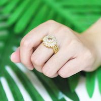 Fashion Vintage Inlaid Geometric Zircon Fashion Tail Ring Jewelry main image 4