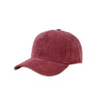 Simple Khaki Hat Korean Fashion Warm Wide-brim Shade Corduroy Baseball Cap sku image 8