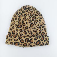 Fashion Winter Leopard Knit Hats Woolen Hat Casual Double Layer Warmth Cap sku image 6