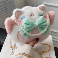 Mignonne Femme  Hiver Nouveau Sac Messager Tendance Sac À Bandoulière Chaîne En Peluche main image 1