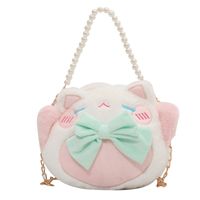 Mignonne Femme  Hiver Nouveau Sac Messager Tendance Sac À Bandoulière Chaîne En Peluche main image 6