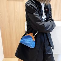 Winter Niche Design Bag Women's 2021 New Trendy Corduroy Pearl Chain Messenger Bag sku image 4